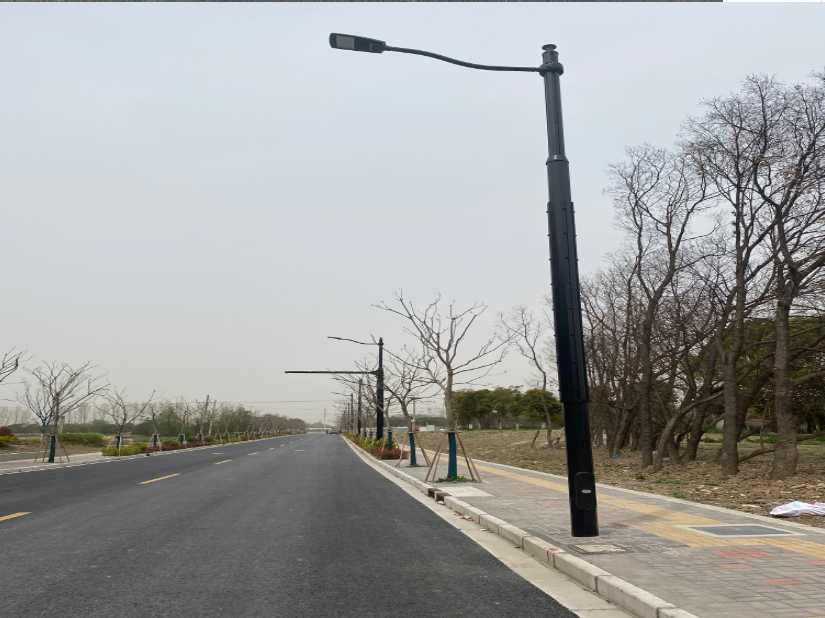 青冈县上海综合杆 太阳能路灯工程